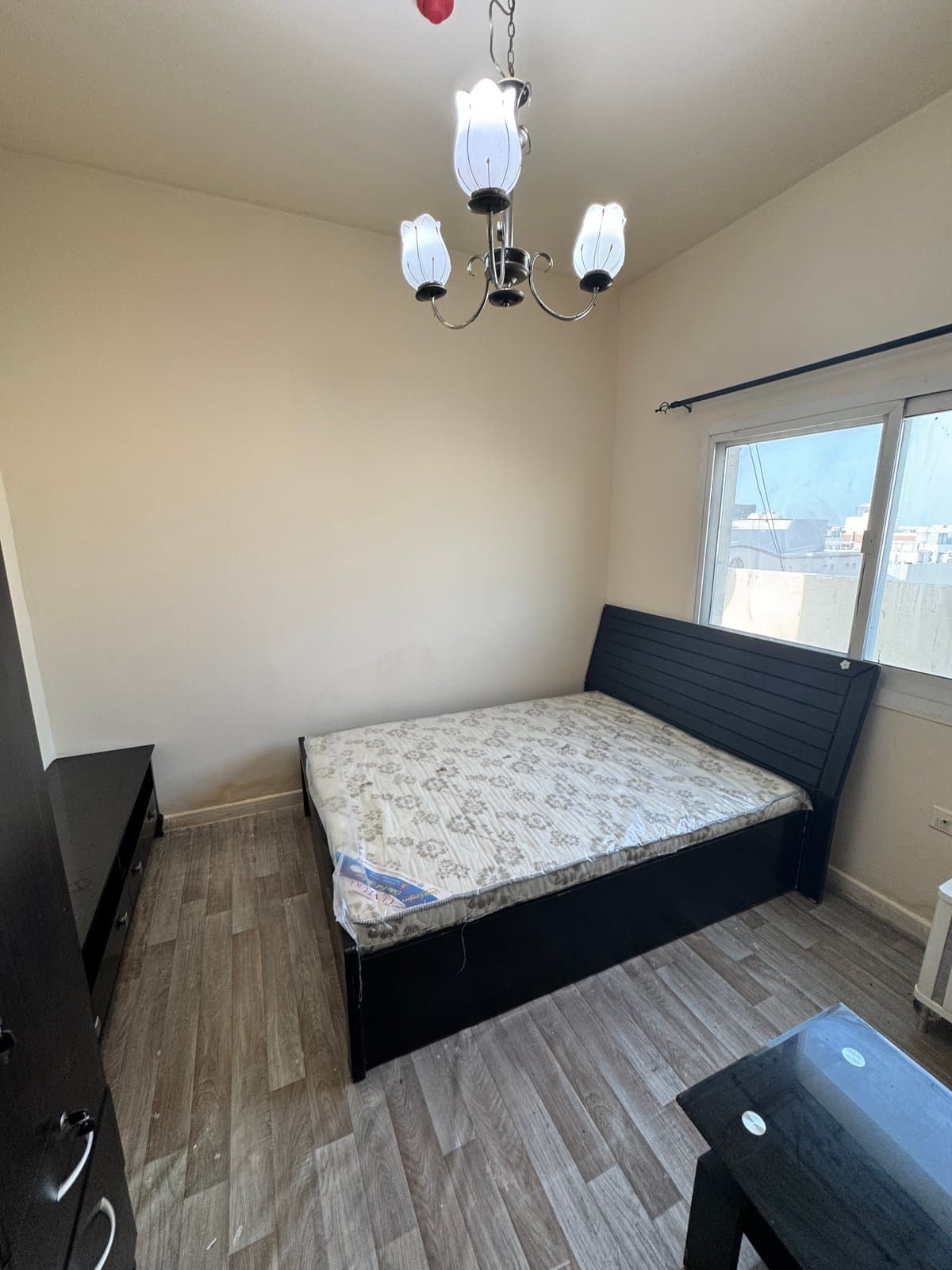 Furnished Studio, photo 1