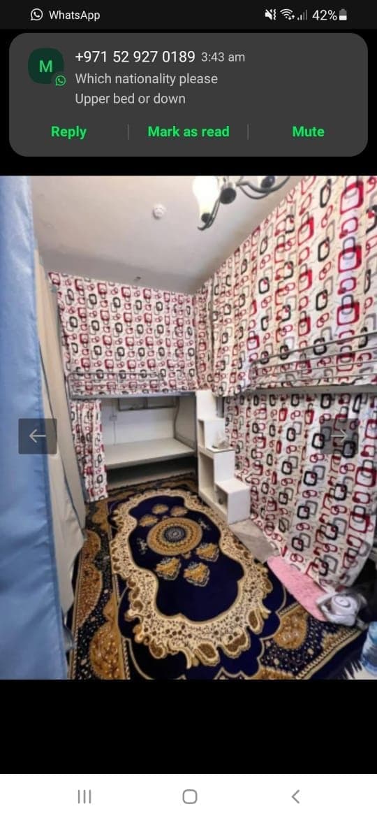 Family room bed space with Philippino available in satwa near satwa bus station, photo 1