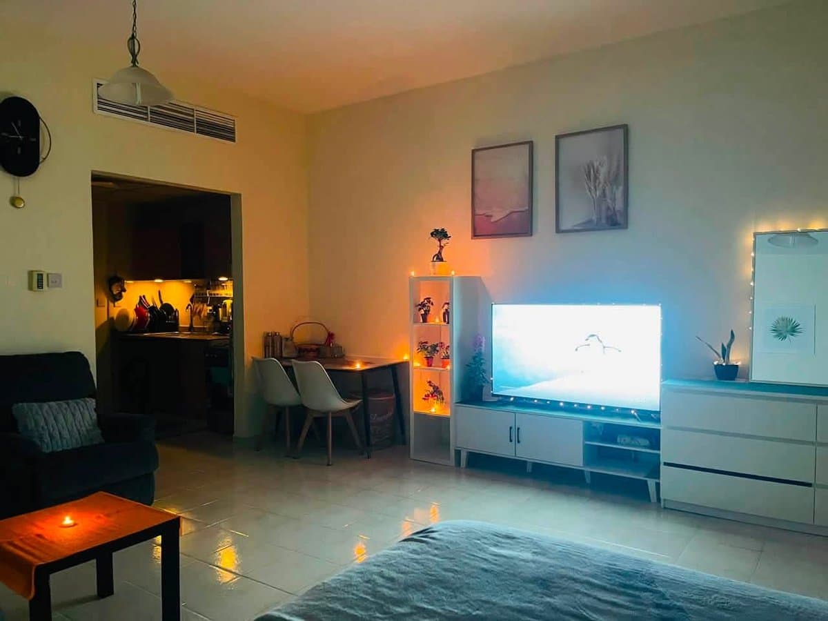 Fully Furnished Studio, photo 3